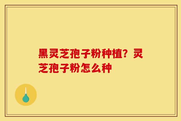 黑灵芝孢子粉种植？灵芝孢子粉怎么种