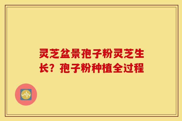 灵芝盆景孢子粉灵芝生长？孢子粉种植全过程