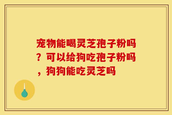 宠物能喝灵芝孢子粉吗？可以给狗吃孢子粉吗，狗狗能吃灵芝吗