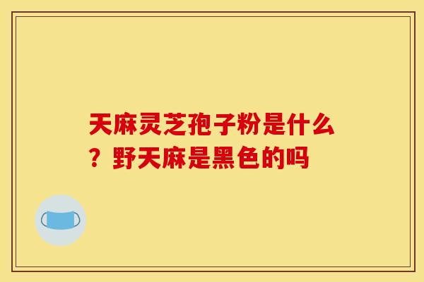天麻灵芝孢子粉是什么？野天麻是黑色的吗