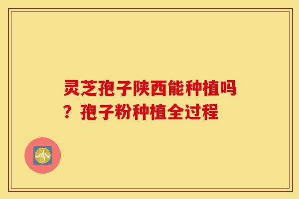 灵芝孢子陕西能种植吗？孢子粉种植全过程