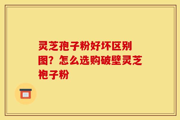 灵芝孢子粉好坏区别 图？怎么选购破壁灵芝袍子粉