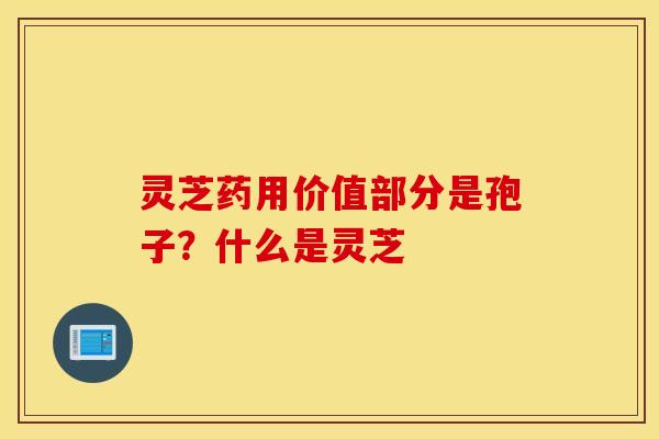 灵芝药用价值部分是孢子？什么是灵芝