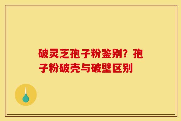 破灵芝孢子粉鉴别？孢子粉破壳与破壁区别