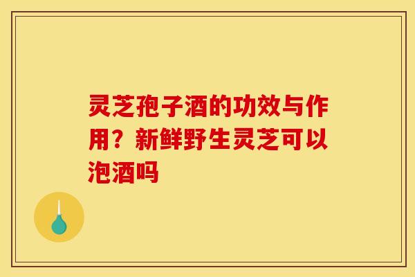 灵芝孢子酒的功效与作用？新鲜野生灵芝可以泡酒吗