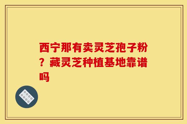 西宁那有卖灵芝孢子粉？藏灵芝种植基地靠谱吗