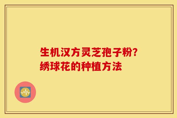 生机汉方灵芝孢子粉？绣球花的种植方法