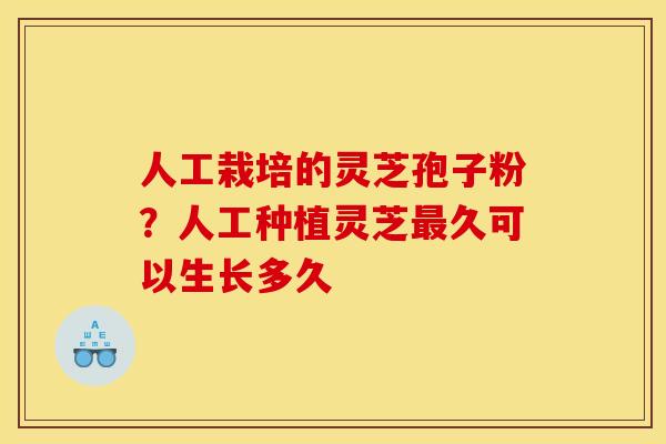 人工栽培的灵芝孢子粉？人工种植灵芝最久可以生长多久