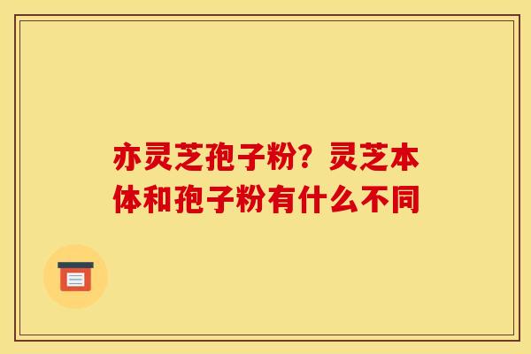 亦灵芝孢子粉？灵芝本体和孢子粉有什么不同