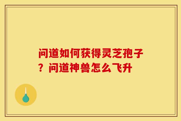 问道如何获得灵芝孢子？问道神兽怎么飞升