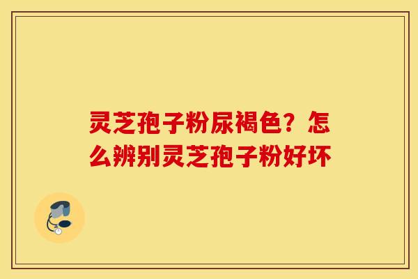 灵芝孢子粉尿褐色？怎么辨别灵芝孢子粉好坏