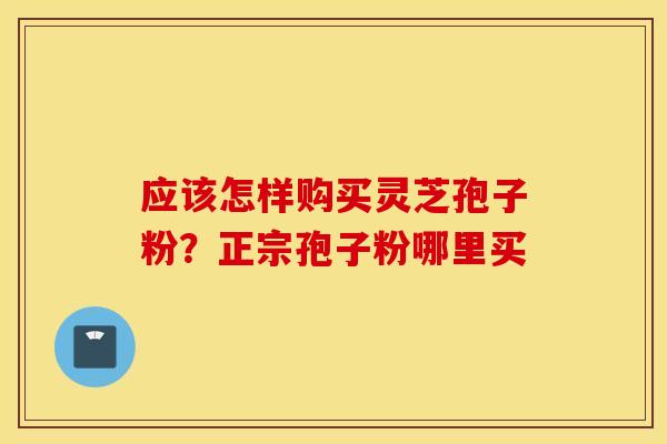 应该怎样购买灵芝孢子粉？正宗孢子粉哪里买