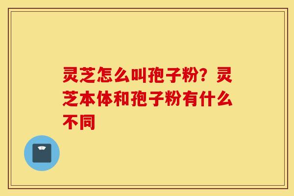 灵芝怎么叫孢子粉？灵芝本体和孢子粉有什么不同