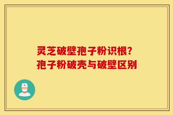 灵芝破壁孢子粉识根？孢子粉破壳与破壁区别