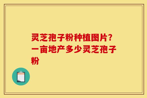 灵芝孢子粉种植图片？一亩地产多少灵芝孢子粉