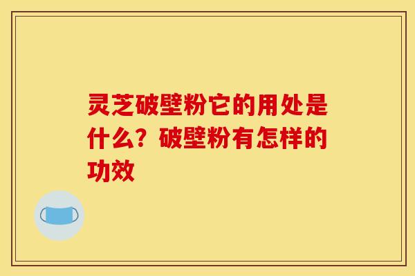 灵芝破壁粉它的用处是什么？破壁粉有怎样的功效