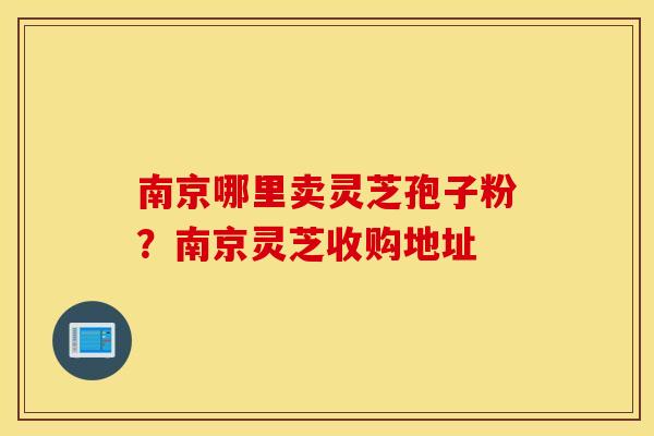 南京哪里卖灵芝孢子粉？南京灵芝收购地址