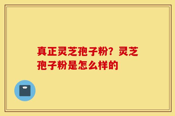 真正灵芝孢子粉？灵芝孢子粉是怎么样的
