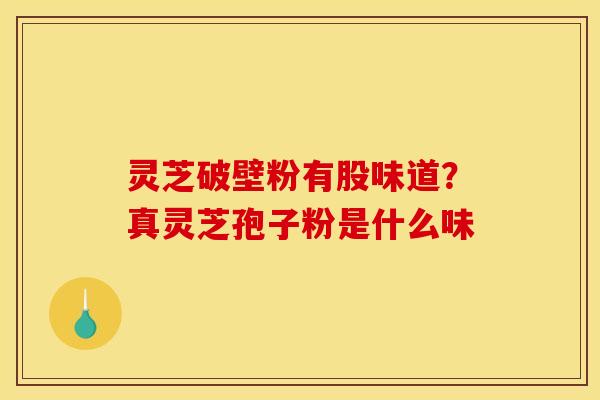 灵芝破壁粉有股味道？真灵芝孢子粉是什么味