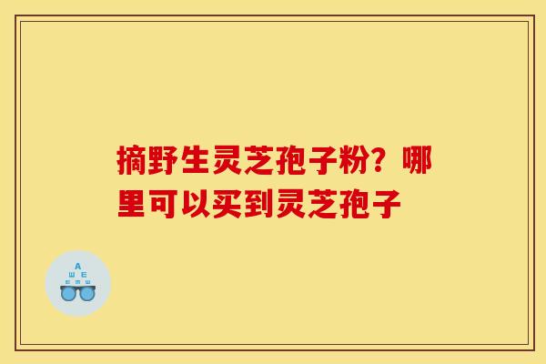摘野生灵芝孢子粉？哪里可以买到灵芝孢子
