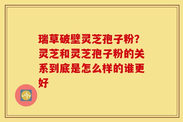 瑞草破壁灵芝孢子粉？灵芝和灵芝孢子粉的关系到底是怎么样的谁更好