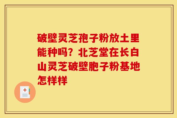 破壁灵芝孢子粉放土里能种吗？北芝堂在长白山灵芝破壁胞子粉基地怎样样