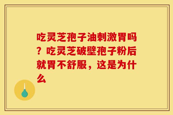吃灵芝孢子油刺激胃吗？吃灵芝破壁孢子粉后就胃不舒服，这是为什么