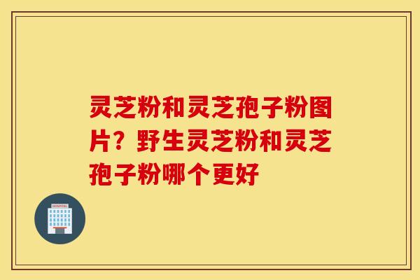灵芝粉和灵芝孢子粉图片？野生灵芝粉和灵芝孢子粉哪个更好