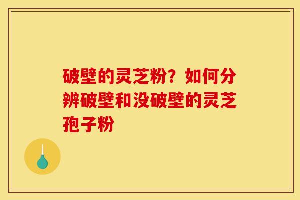 破壁的灵芝粉？如何分辨破壁和没破壁的灵芝孢子粉
