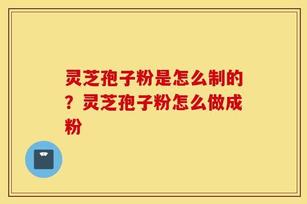 灵芝孢子粉是怎么制的？灵芝孢子粉怎么做成粉