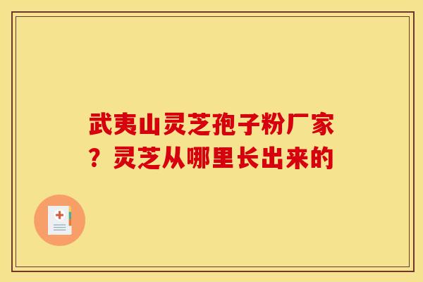武夷山灵芝孢子粉厂家？灵芝从哪里长出来的