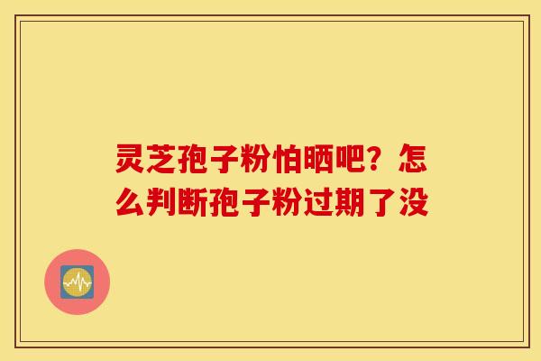 灵芝孢子粉怕晒吧？怎么判断孢子粉过期了没