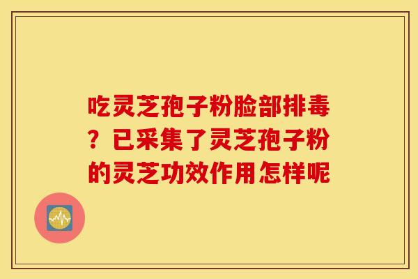 吃灵芝孢子粉脸部排毒？已采集了灵芝孢子粉的灵芝功效作用怎样呢