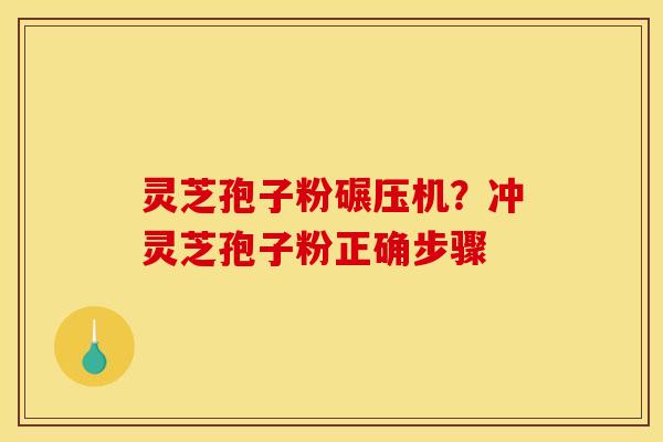 灵芝孢子粉碾压机？冲灵芝孢子粉正确步骤