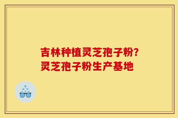 吉林种植灵芝孢子粉？灵芝孢子粉生产基地