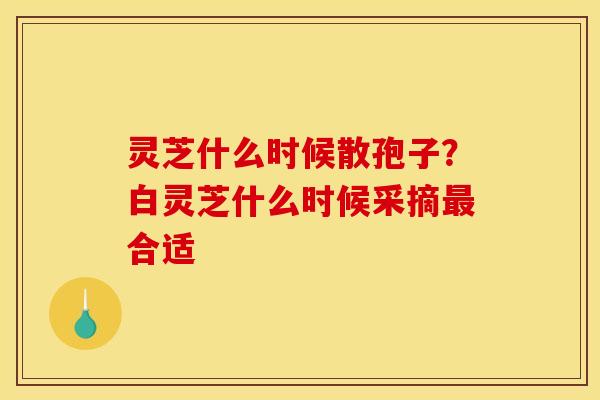 灵芝什么时候散孢子？白灵芝什么时候采摘最合适