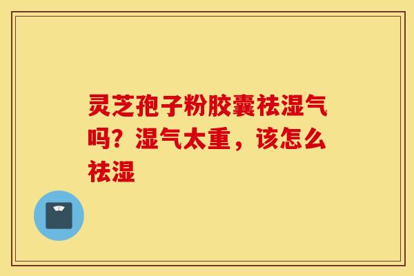 灵芝孢子粉胶囊祛湿气吗？湿气太重，该怎么祛湿