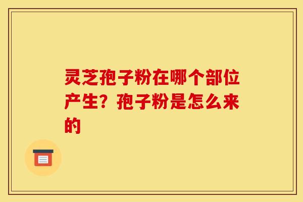 灵芝孢子粉在哪个部位产生？孢子粉是怎么来的