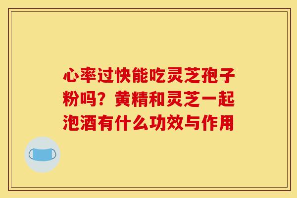 心率过快能吃灵芝孢子粉吗？黄精和灵芝一起泡酒有什么功效与作用