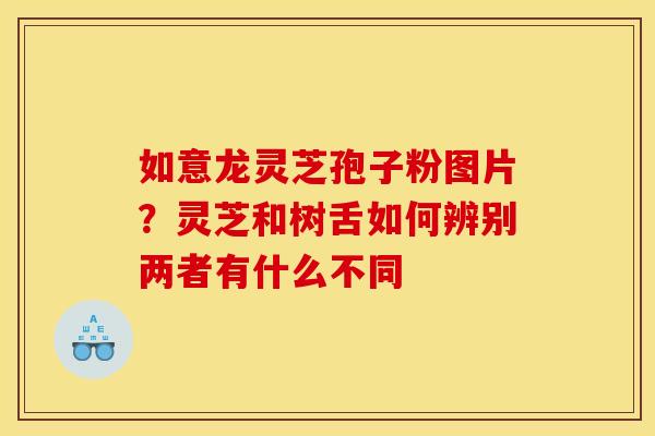 如意龙灵芝孢子粉图片？灵芝和树舌如何辨别两者有什么不同
