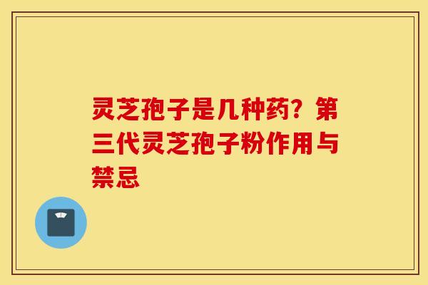 灵芝孢子是几种药？第三代灵芝孢子粉作用与禁忌