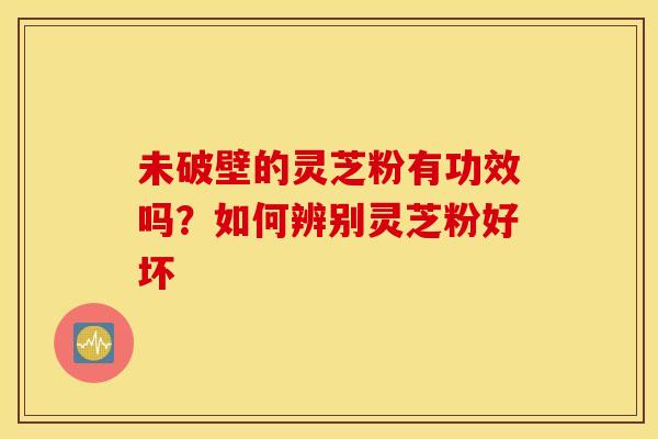 未破壁的灵芝粉有功效吗？如何辨别灵芝粉好坏