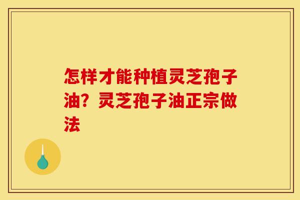 怎样才能种植灵芝孢子油？灵芝孢子油正宗做法