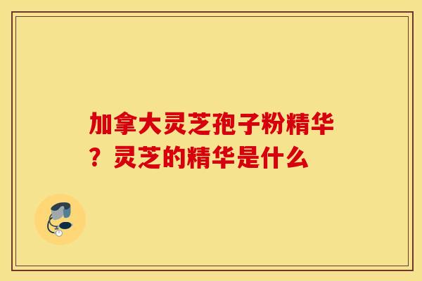 加拿大灵芝孢子粉精华？灵芝的精华是什么