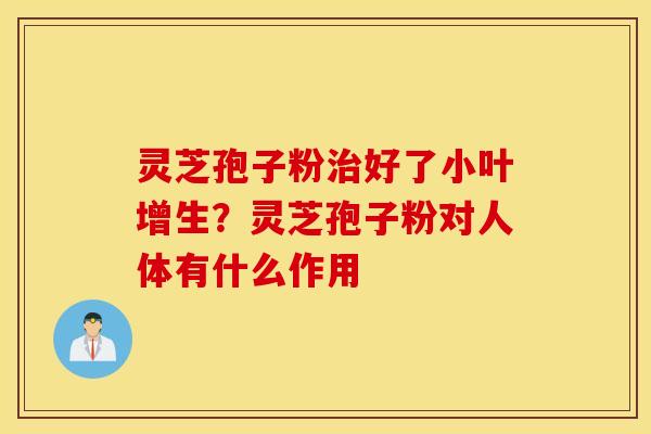 灵芝孢子粉治好了小叶增生？灵芝孢子粉对人体有什么作用