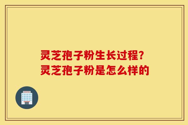 灵芝孢子粉生长过程？灵芝孢子粉是怎么样的