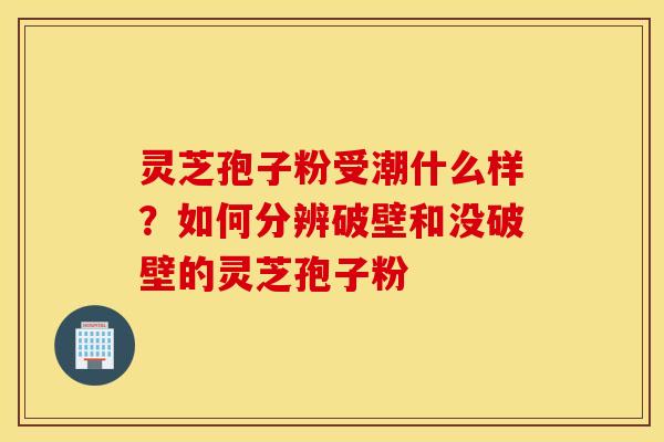 灵芝孢子粉受潮什么样？如何分辨破壁和没破壁的灵芝孢子粉