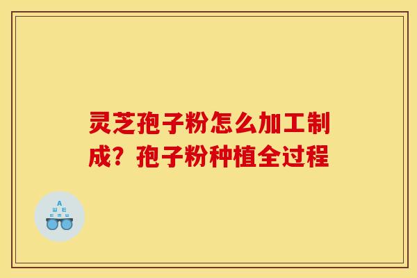 灵芝孢子粉怎么加工制成？孢子粉种植全过程