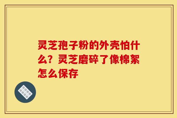 灵芝孢子粉的外壳怕什么？灵芝磨碎了像棉絮怎么保存