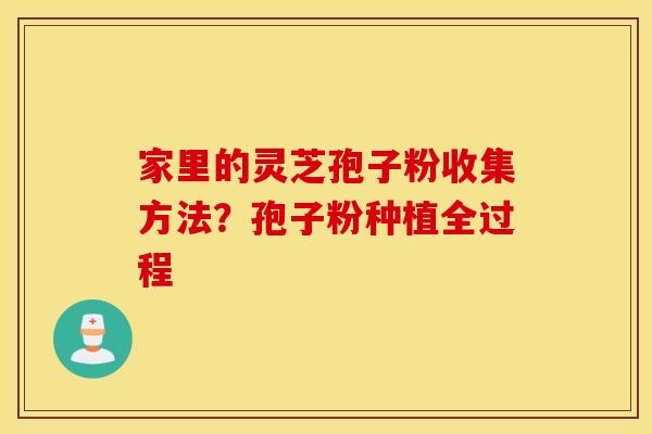 家里的灵芝孢子粉收集方法？孢子粉种植全过程
